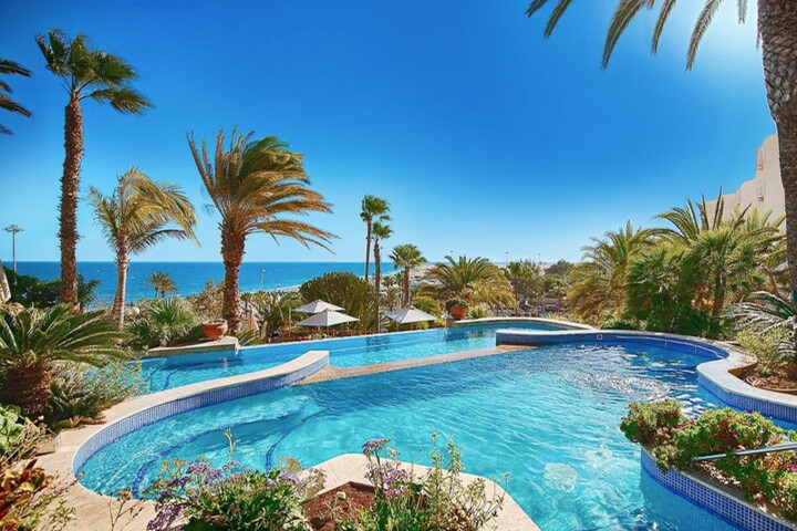 Pool mit klarem Wasser umgeben von Palmen und tropischer Vegetation mit Blick auf das Meer unter blauem Himmel. Pool mit klarem Wasser umgeben von Palmen und tropischer Vegetation mit Blick auf das Meer unter blauem Himmel.