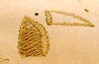 Chryssi Akti & Paradise Beach - Paradise Beach
