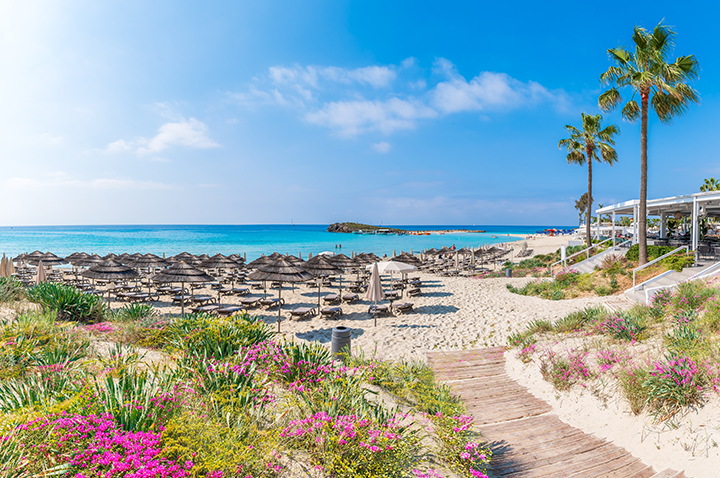 Ein sonniger Strand mit einem Holzweg und mehreren bunten Sonnenschirmen, perfekt für Erholung und Spaß.