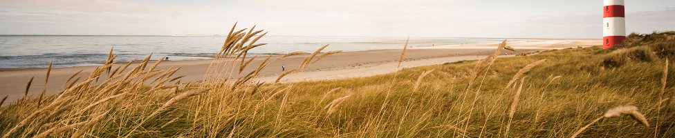 Landschaft von Domburg mit Strand