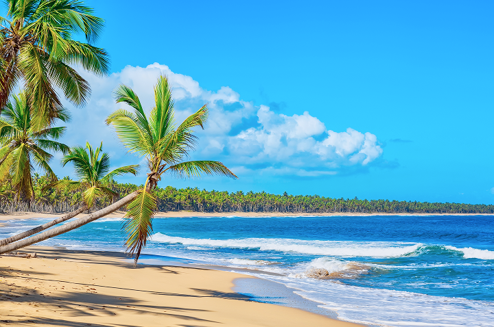 Strand mit mehreren schräg wachsenden Palmen, Sand und Wellen unter blauem Himmel mit Wolken.