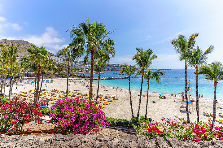 Strand mit Palmen, bunten Blumen und Liegestühlen am türkisfarbenen Meer unter blauem Himmel.