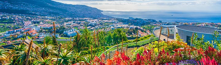 Preisvergleich Madeira