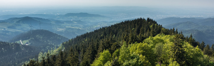 Urlaub im Erzgebirge beliebte Reiseziele