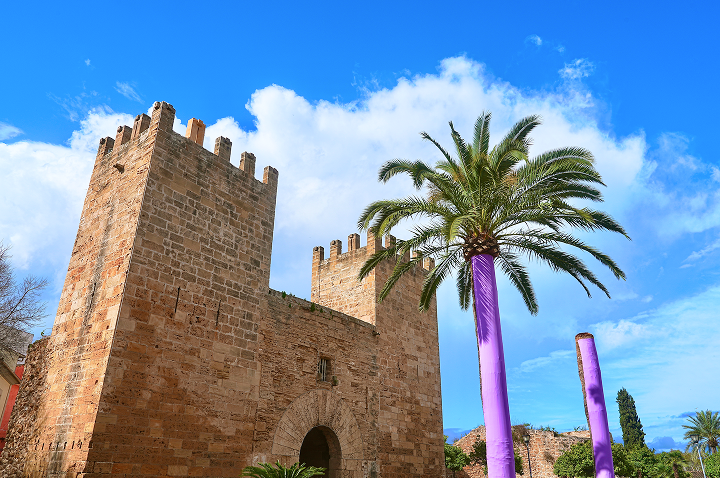 Ein stattliches Gebäude mit einem Uhrturm und einer Palme, das eine tropische Stimmung vermittelt. Ein stattliches Gebäude mit einem Uhrturm und einer Palme, das eine tropische Stimmung vermittelt.