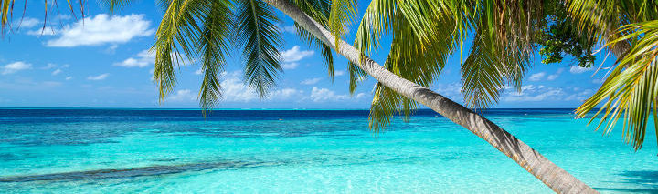 Last Minute Barbados Last Minute Barbados