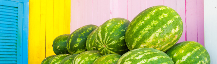 Last Minute Jamaika Last Minute Jamaika