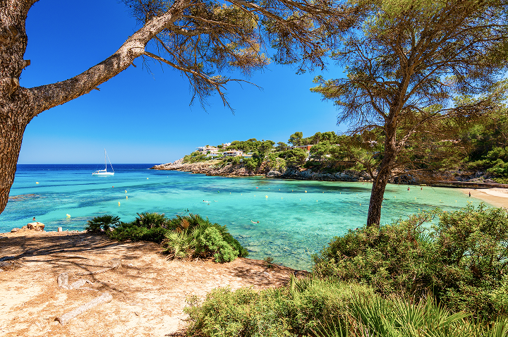 Ein malerischer Strand mit einem Boot am Ufer und einem Baum, der Schatten spendet, während die Wellen sanft plätschern.