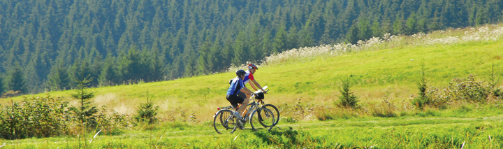 Harz Urlaub Harz Urlaub