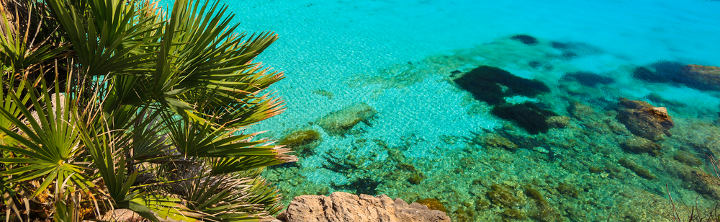 Urlaub Mallorca Urlaub Mallorca